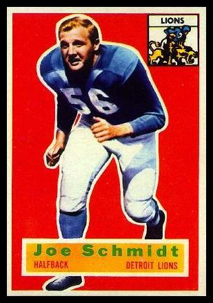 44 Joe Schmidt